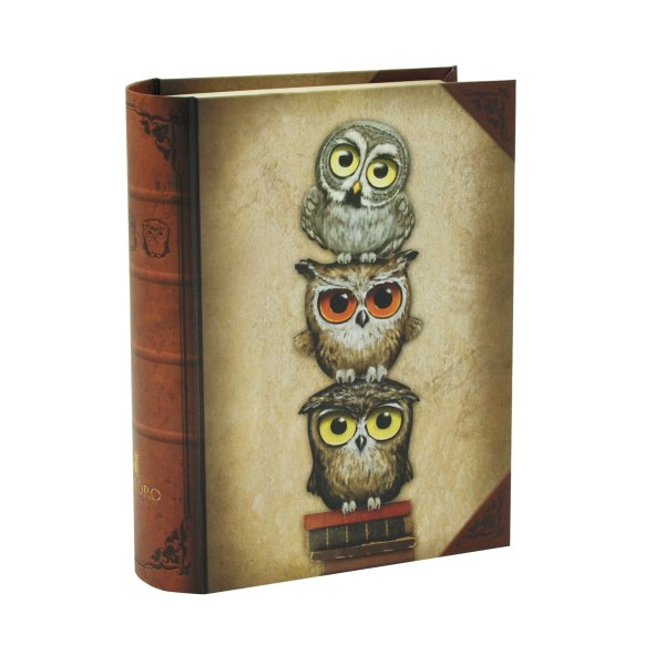 Raamatu kujuga karbid "Book Owls"