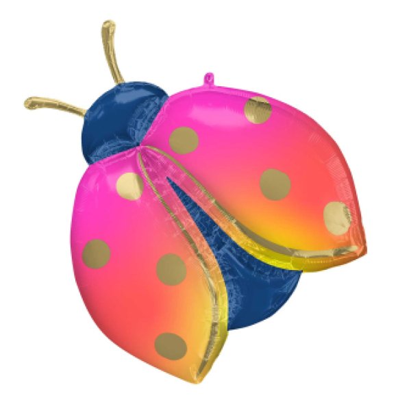 Fooliumist suur õhupall "Värviline Lepatriinu"