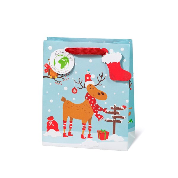 Keskmine kinkekott "Rudi"