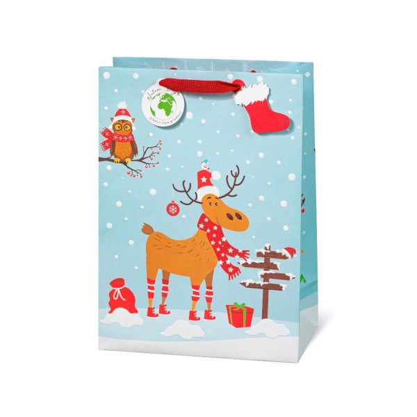 Suur kinkekott "Rudi"