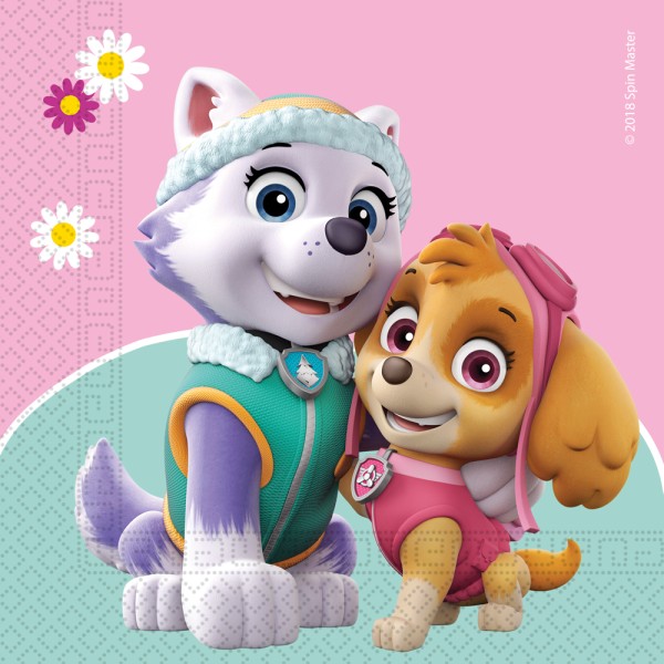 Salvrätid "Käpapatrull Skye & Everest"