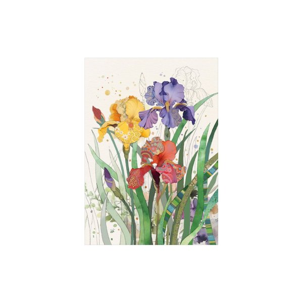 Õnnitluskaart "Mixed Irises"