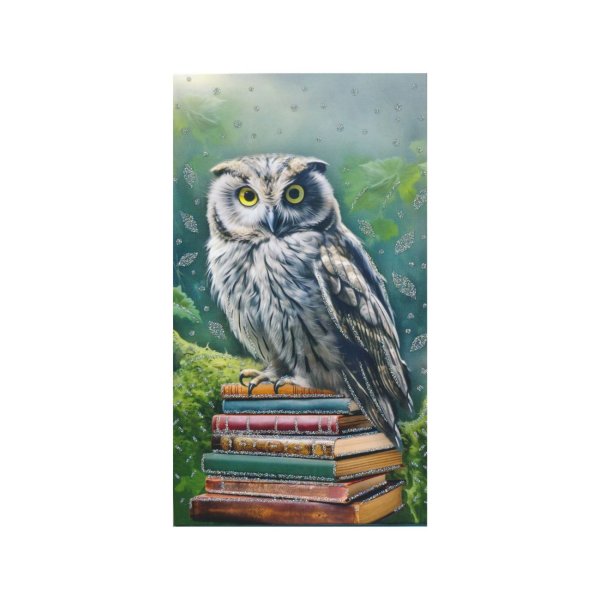 Rahakaart glitteriga "Öökull raamatutega"