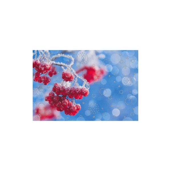 2-osaline lühike jõulukaart