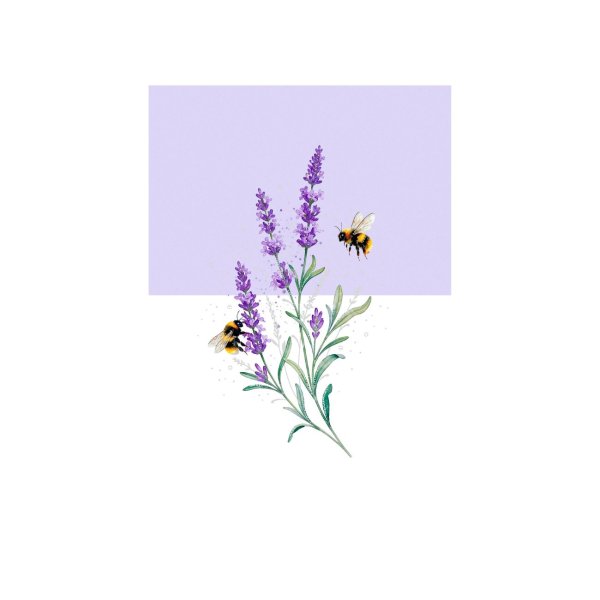 Eksklusiivne õnnitluskaart "Lavendel"